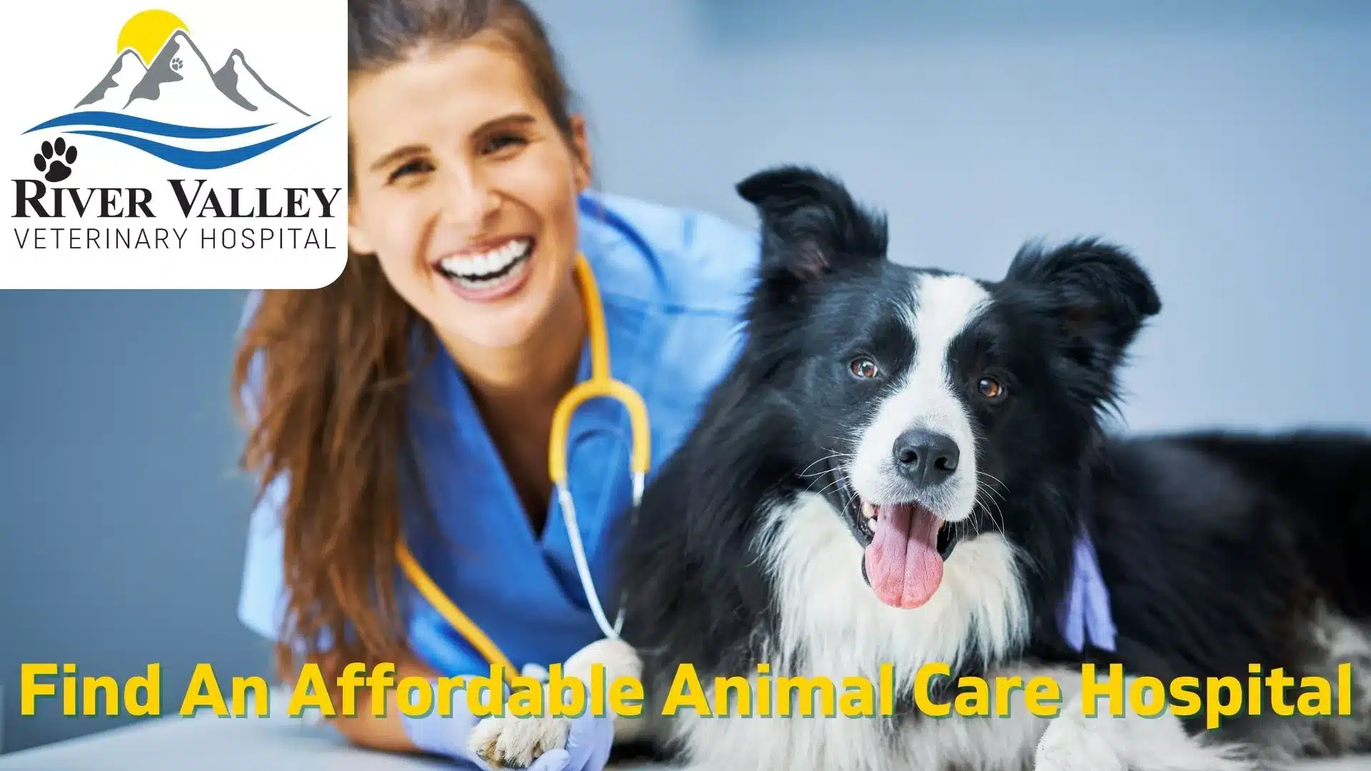 Find An Affordable Animal Care Hospital in Pittsburgh