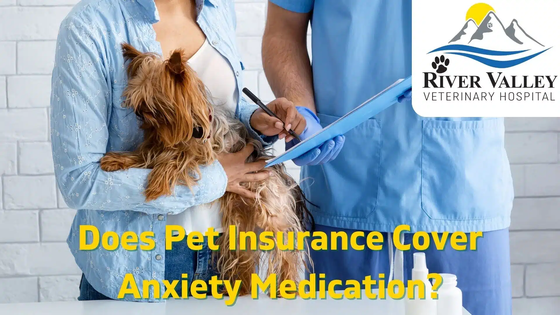Does Pet Insurance Cover Anxiety Medication
